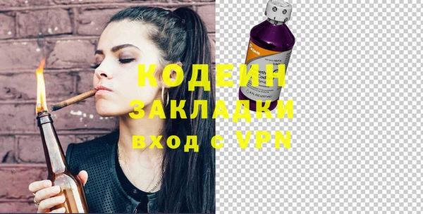 индика Братск