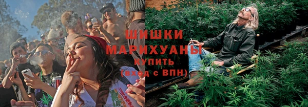 молекула духа Надым