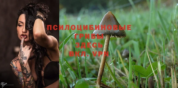 МДПВ Михайловка
