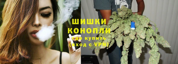 индика Братск