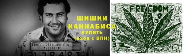 ПСИЛОЦИБИНОВЫЕ ГРИБЫ Михайлов